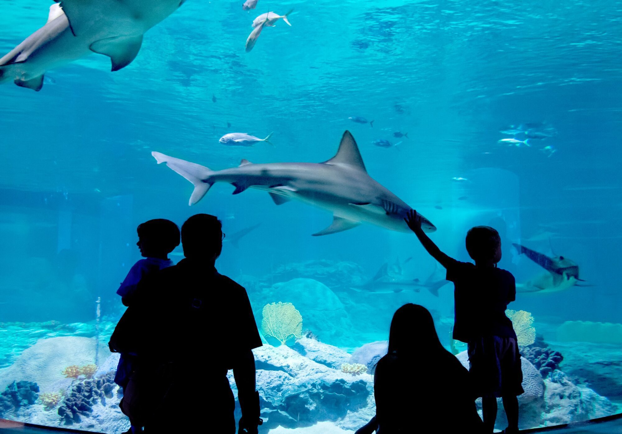 OdySea Aquarium at the Arizona Boardwalk in Scottsdale, AZ.