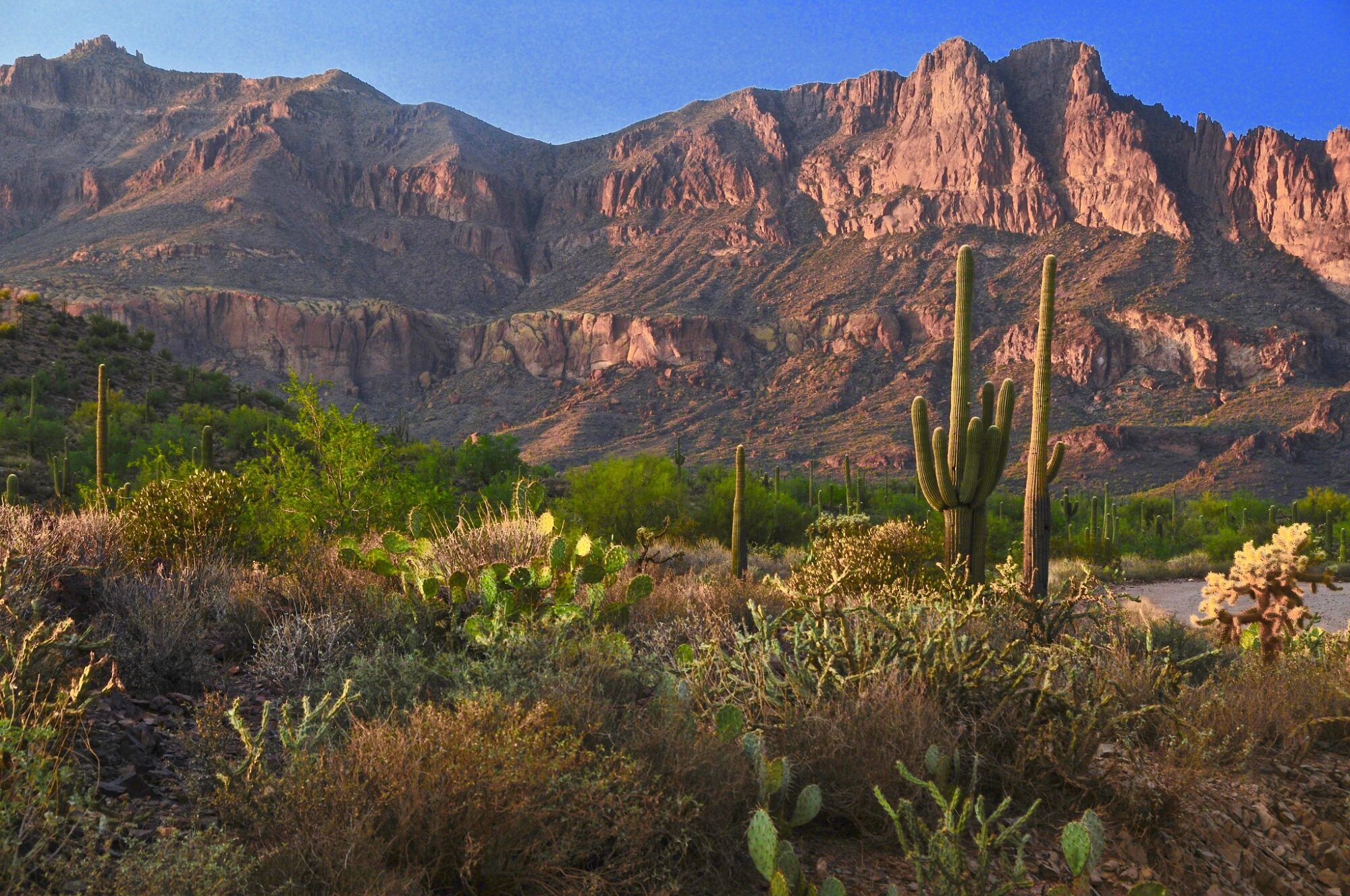 Superstition Mountain range