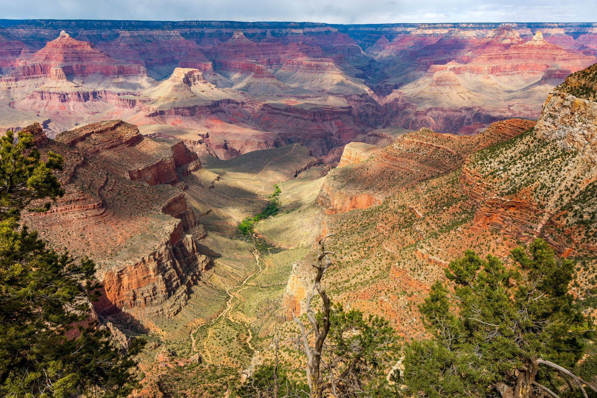 Aerial shot of the grand canyon