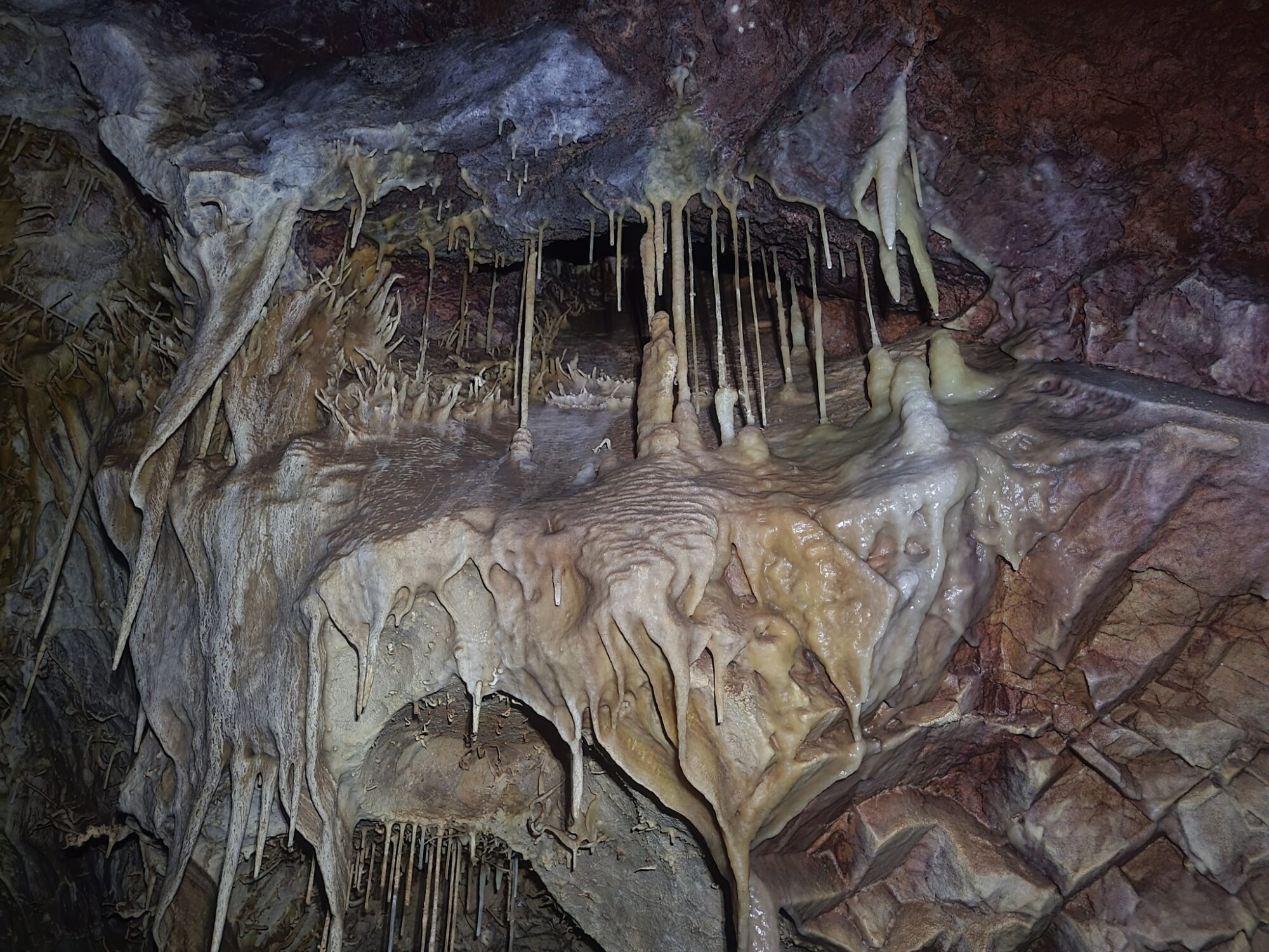 Stalactites in the Kartchner Caverns