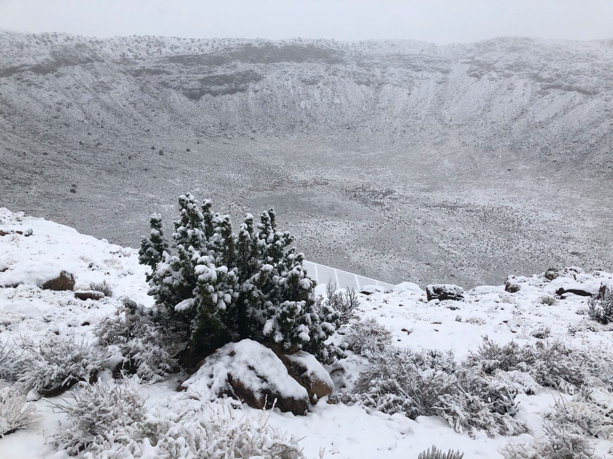 Snow covered Meteor Crater with a small plant in the foreground.
