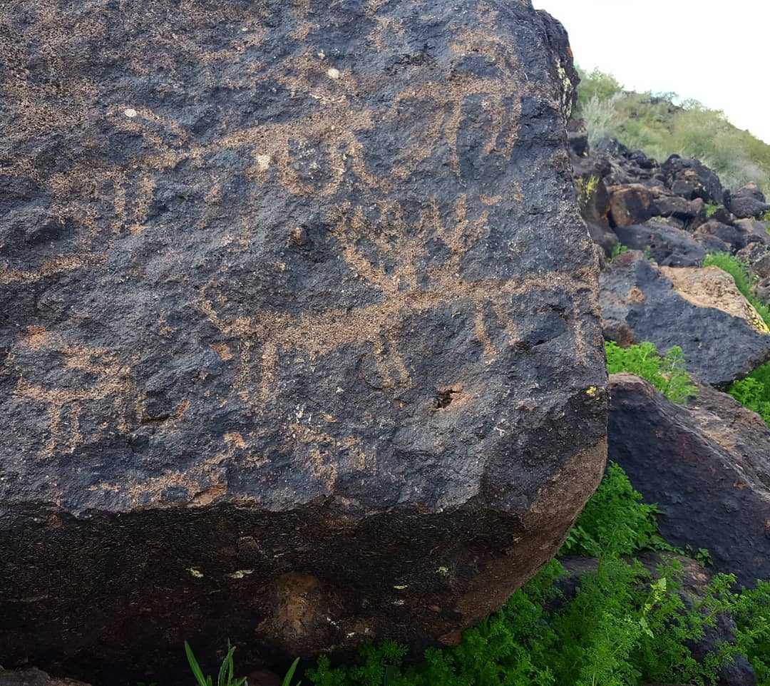 Image of a petroglyph at the Deer Valley Petroglyph Preserve in Arizona.